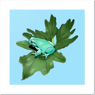 White's Treefrog on Philodendron Leaf Posters and Art